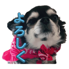 Yuzuki_20250419170658