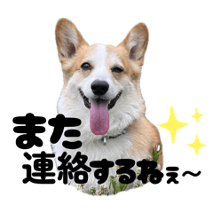 chisa_20250419170242