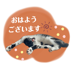 saya_20250419194032