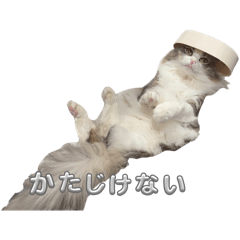 kn_20250419152206