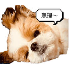 wata_20250419174013