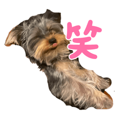 Choco_20250419223858