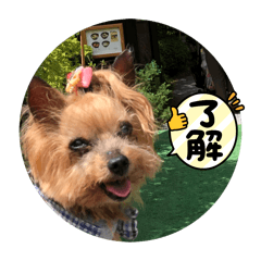 YUKO_20250419223831