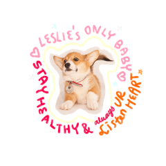 喬好用ㄉ丹丹柯基