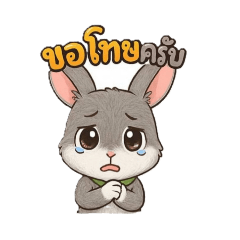 momo_20250415151918