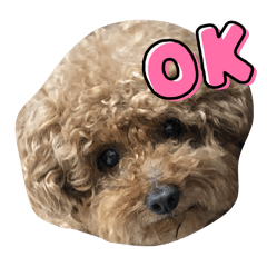 Ok_NyaNya