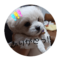 iroha_20250419190945