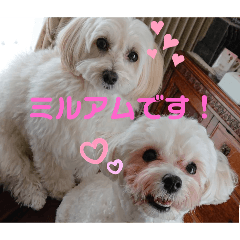 Riho_20250419222855