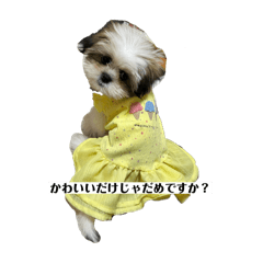 mii_20250419222935