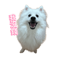 窩沒錢
