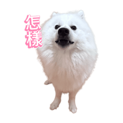 給我去