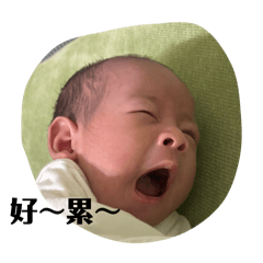 雪保