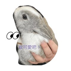 王家好好笑