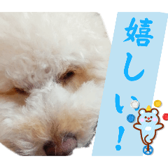 nana_20250419173743