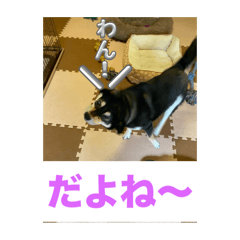 ma_20250420090335