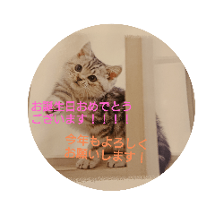 my_20250420092335