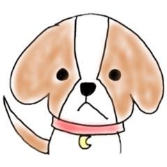 rui_20250419221827