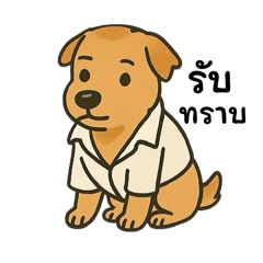 Kawneow the half thai-shiba smart dog.