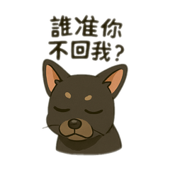 小羅賓2