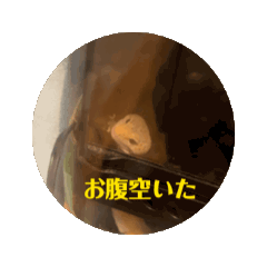 kana_20250420124127