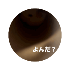 koko_20250420124721