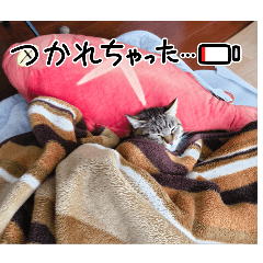 hina_20250419230219