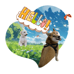 hiro_20250420003844