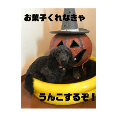 Shun_20250419090221