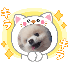 hima_20250420084140