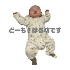 nagi_20250420083011