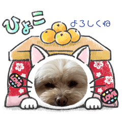 meimei_20250420095434
