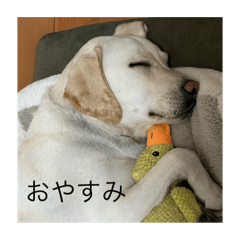 megumi_20250420100627