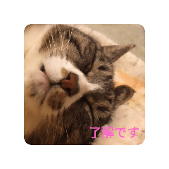 sango_20250420100915