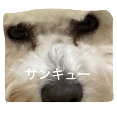 mizu_20250420103650