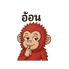 Kie_20250420125441