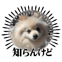Shiro_20250420105715