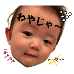 piyo_20250420134516