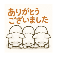 RYO_20250419183446