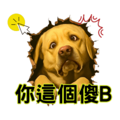 Ami dog breaking the wall daily language