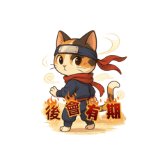 CatNinja Q