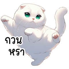 White cat with jade eyes