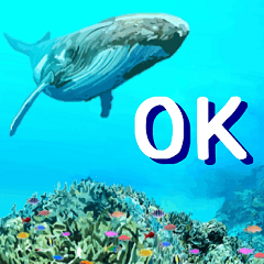 I love humpback whales!