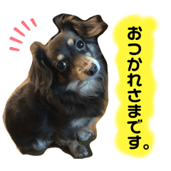 ANAN_20250418173742