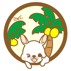 bunny island1