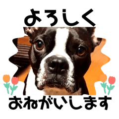 moco_20250420152021