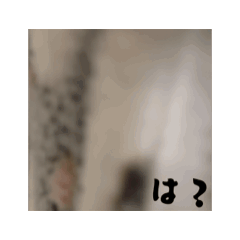 Bubu_20250420195931