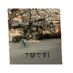 mie_20250420210006