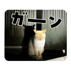 Tommy_20250419003956