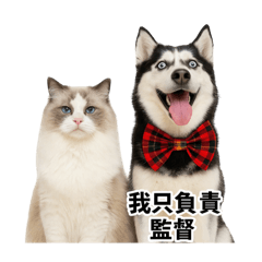 Bonny_20250418230238