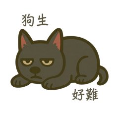 你好！小黑汪